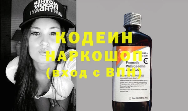 сатива Арсеньев