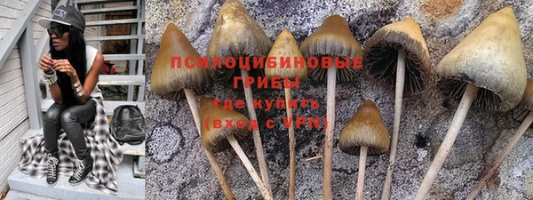 альфа пвп Армянск