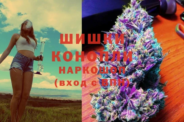 сатива Арсеньев