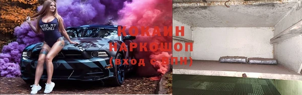 сатива Арсеньев