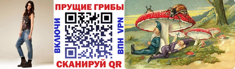 Галлюциногенные грибы GOLDEN TEACHER  хочу наркоту  Валдай 